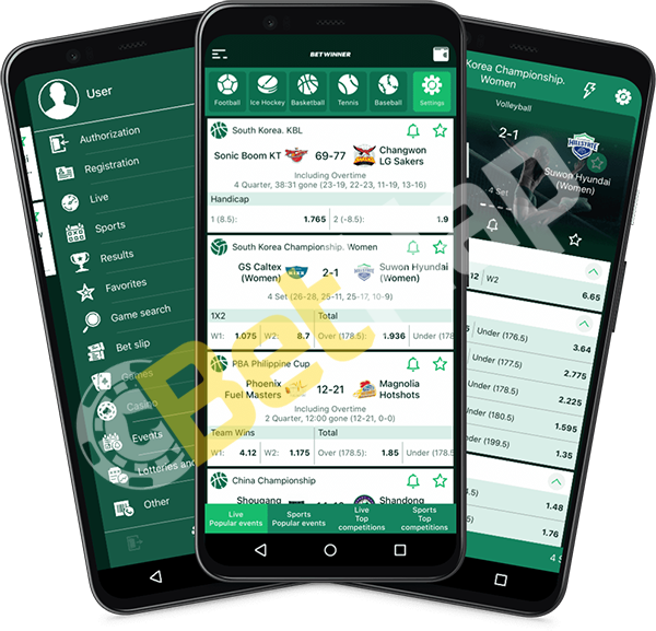 Betwinner Login Your Gateway to Online Betting